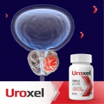 Foto de Prostatitis: síntomas, prevención y métodos terapéuticos efectivos (Uroxel) 