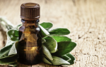 Foto de Aromaterapia: Beneficios y Aplicaciones de los Aceites Esenciales