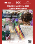 Foto de Las Fallas 2025 refuerzan su compromiso con la seguridad con desfibriladores y formación en RCP