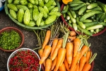 Foto de Cómo Cuidar Tu Plantación de Verduras