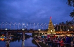 Foto de Explore Louisiana: tradiciones navideñas, hogueras y luces de ensueño 