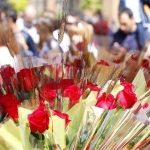 Foto de Este 2025 la venta de rosas superará los 7 millones de rosas en Sant Jordi según mayoristaderosas.com