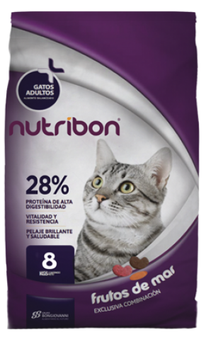 Alimento para gatos: cuidando su nutrición y bienestar