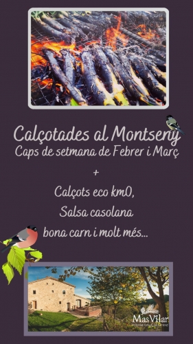 Importancia de una Calçotada al Montseny en diciembre