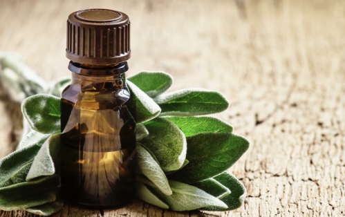 Aromaterapia: Beneficios y Aplicaciones de los Aceites Esenciales