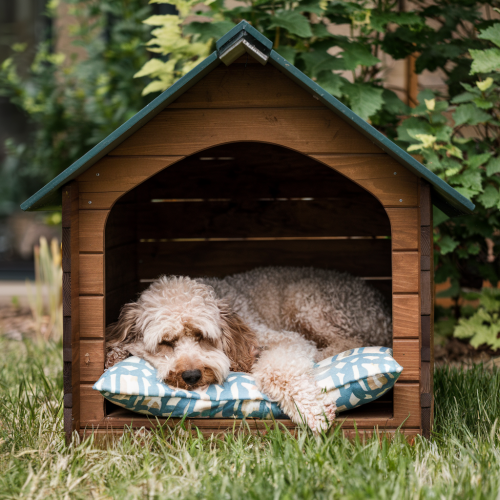 Por qué es necesaria una caseta para perros durante el invierno