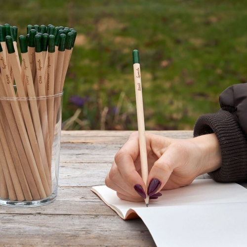 Sproutworld propone desconectar en vacaciones con mandalas y lápices plantables