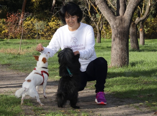 Consejos para que perros y gatos disfruten de la primavera según Herbolario para animales