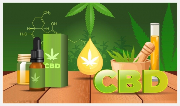 El aceite de CBD en España: entre la innovación y el desafío regulatorio