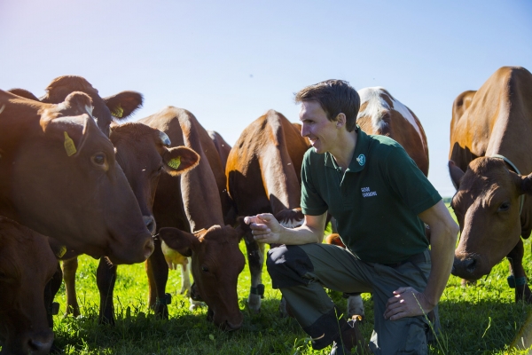 Arla Foods: cambiando el mundo desde sus granjas