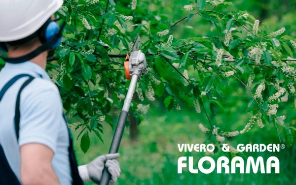 Viveros Florama: Soluciones profesionales para la poda de árboles en altura