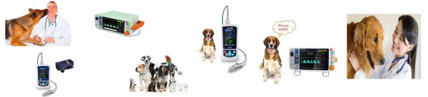 Productos veterinarios