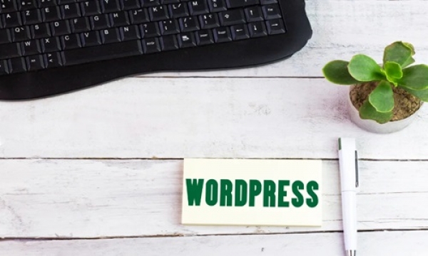 Mejores opciones de hosting para WordPress