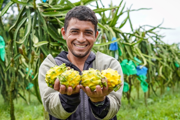 Ecuador promoverá sus frutas exóticas en Fruit Attraction