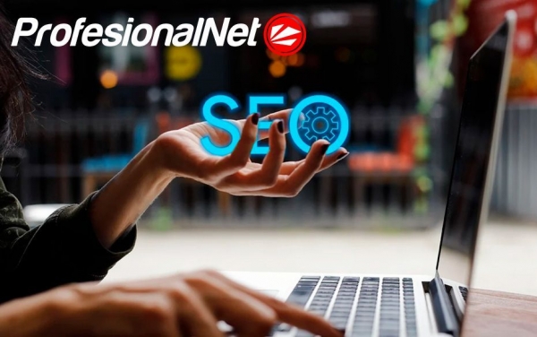 SEO y desarrollo web para empresas, por ProfesionalNet