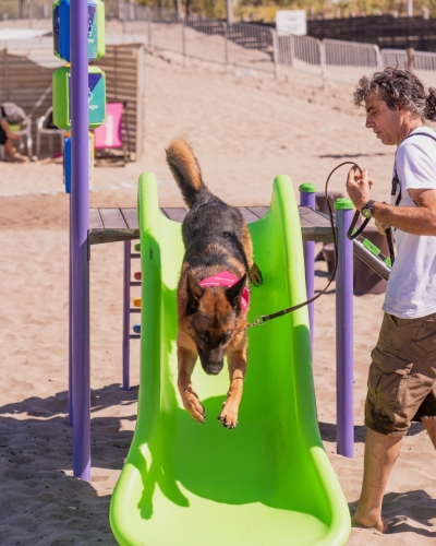 Green Juegos: Fabricación de juegos para espacios públicos en Yes Playa Canina de Mar del Plata