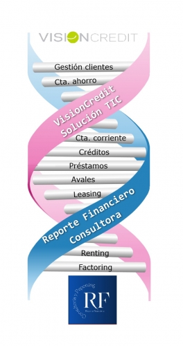  La consultora “Reporte Financiero” aliada con la solución bancaria: VisionCredit