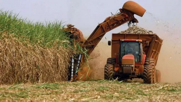 Cuba tiene un déficit de 95 mil toneladas en la zafra azucarera